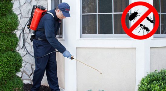 Lalapaşa Bit İlaçlama böcek ilaçlama ve haşere kontrolü — ilaclama-tr.com